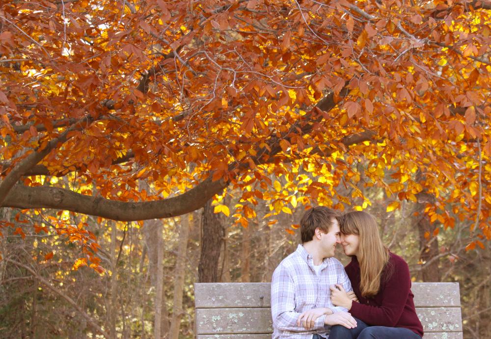 fall engagements session chelmsford ma