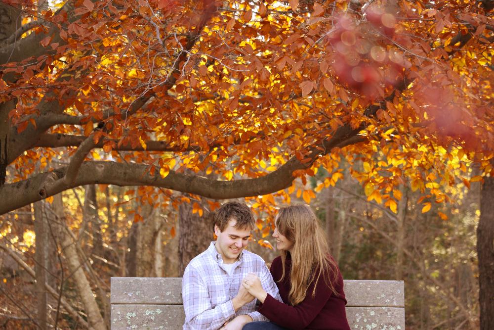 massachusetts foliage engagement session